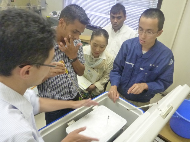 Thermometer calibration